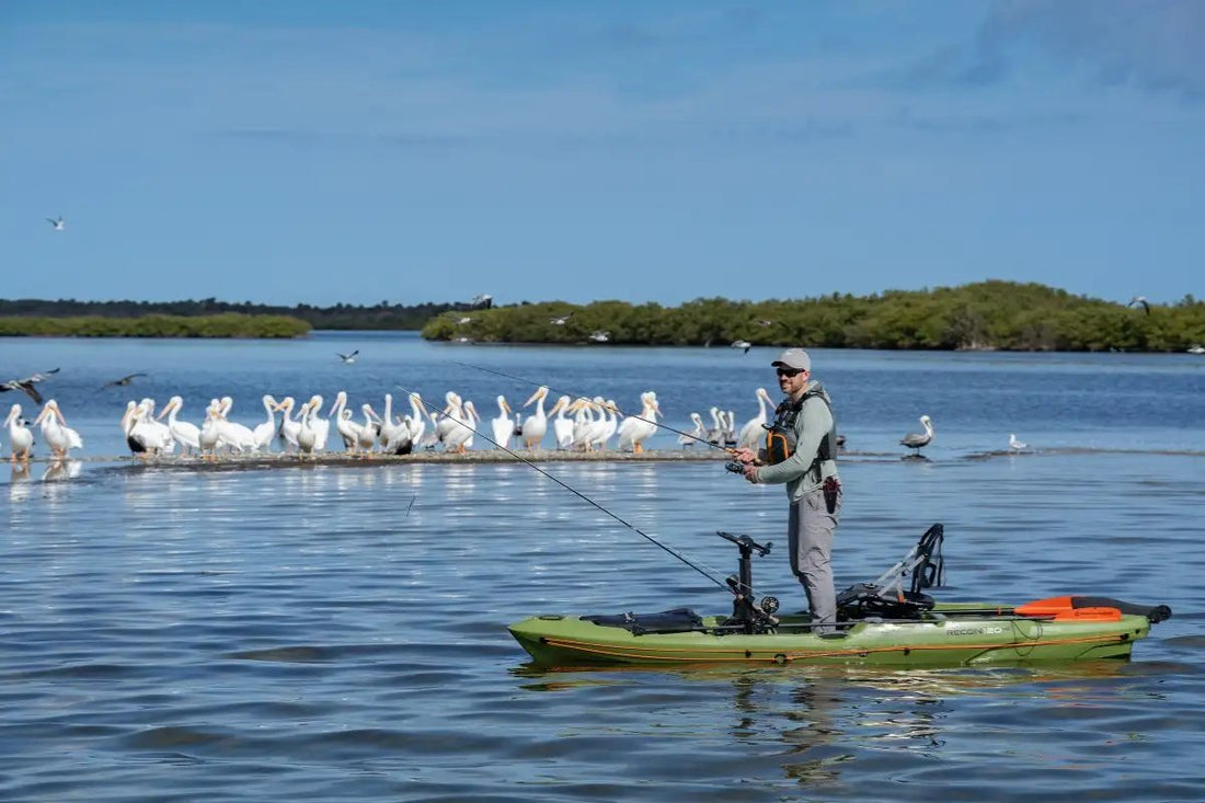 Where Fishing Becomes Exploration