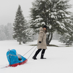 Baby Sled Cover