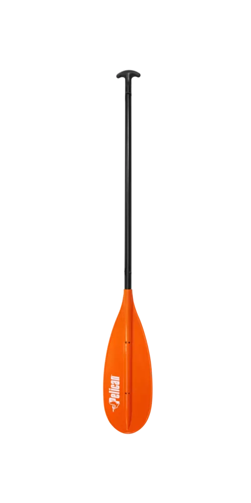 Pagaie de canoë à queue de castor 143 cm (57")