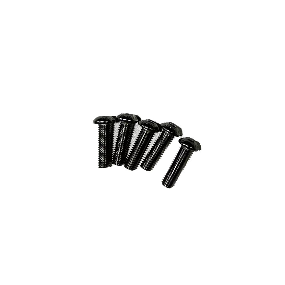 Vis à tête cylindrique - M6 x 20 mm - Paquet de 5